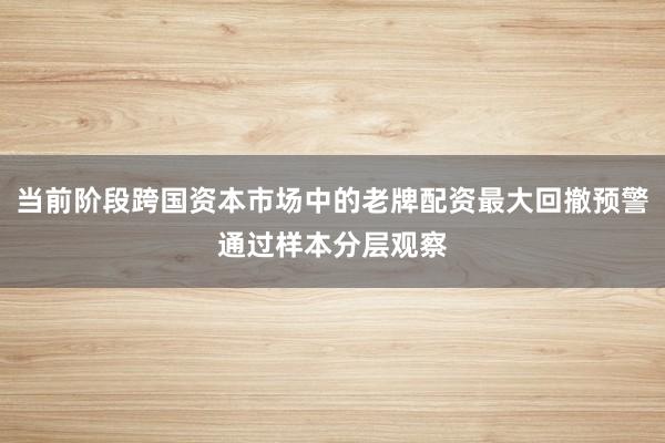 当前阶段跨国资本市场中的老牌配资最大回撤预警通过样本分层观察