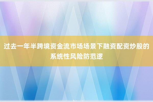 过去一年半跨境资金流市场场景下融资配资炒股的系统性风险防范逻