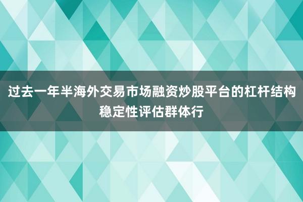 过去一年半海外交易市场融资炒股平台的杠杆结构稳定性评估群体行