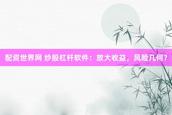 配资世界网 炒股杠杆软件：放大收益，风险几何？