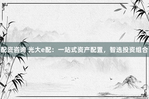 配资咨询 光大e配：一站式资产配置，智选投资组合